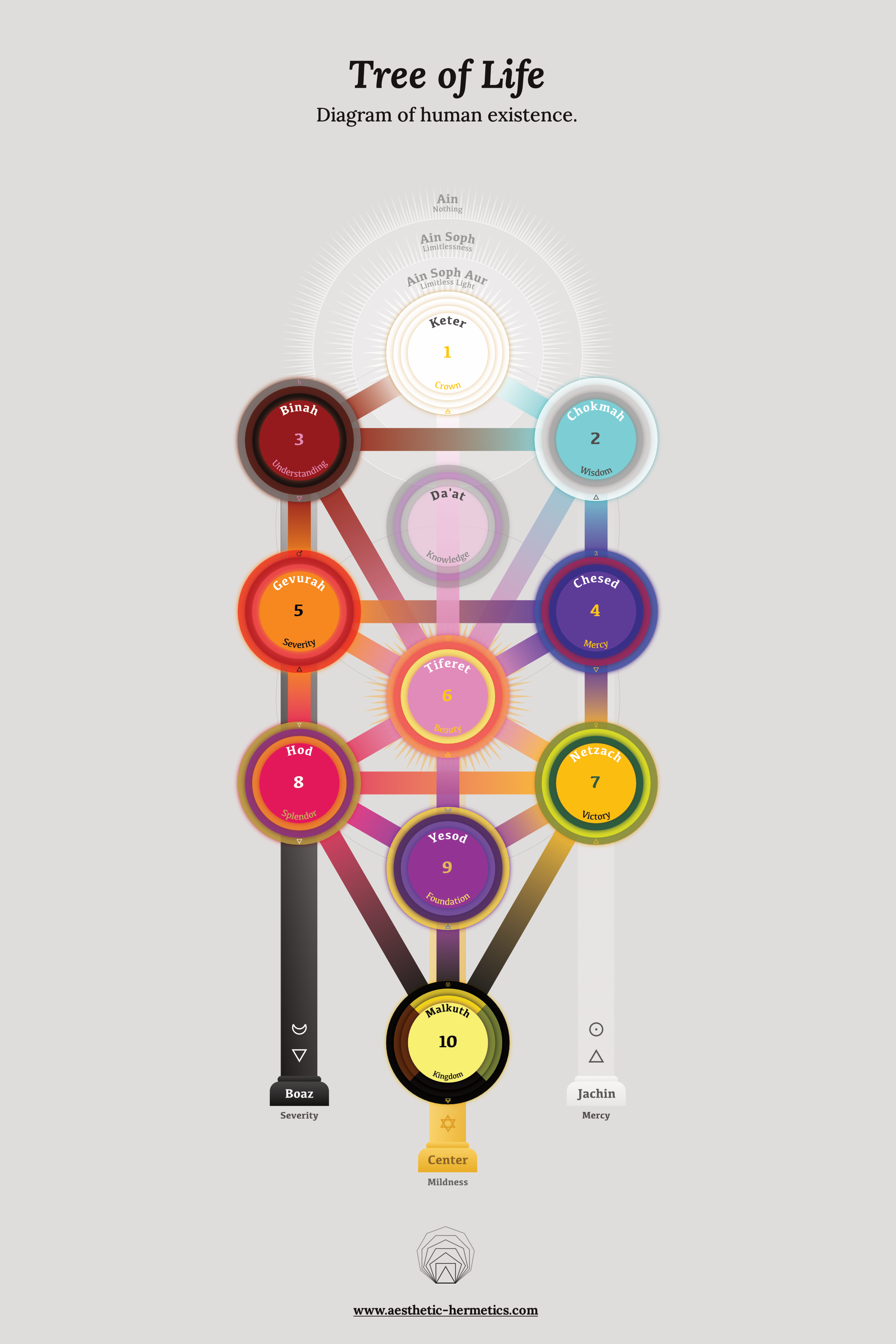 Tree of Life Diagram